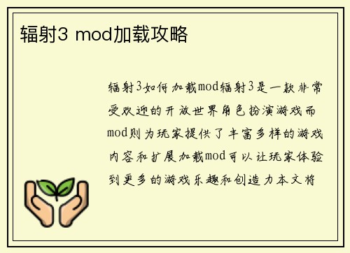 辐射3 mod加载攻略